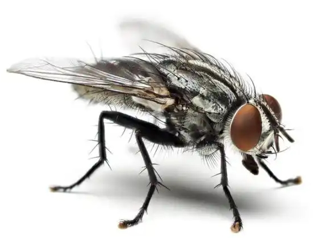 QQ20260115-112929.jpg QQ20260115-112929.jpg