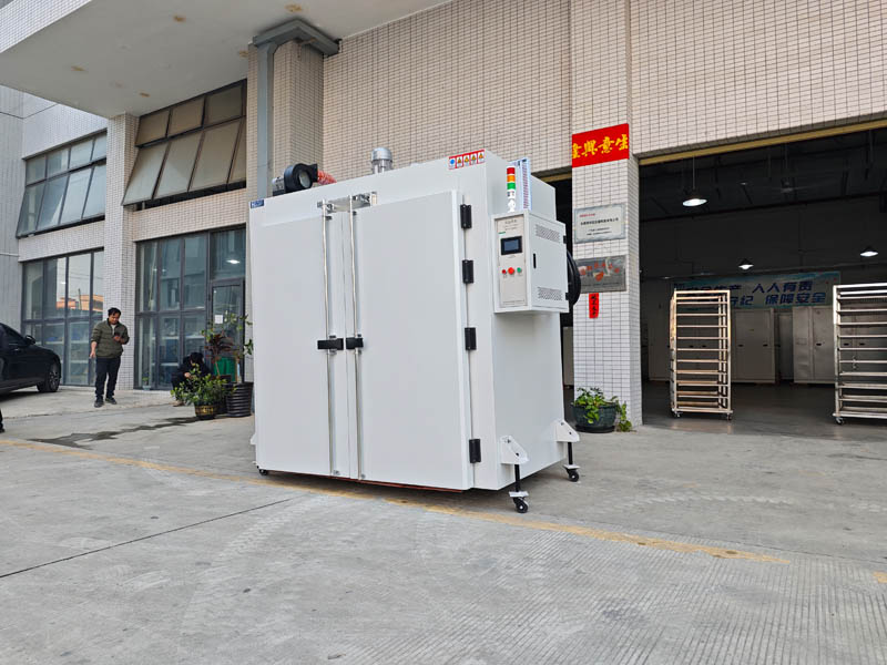 IMG_20250308_100324.jpg IMG_20250308_100324.jpg